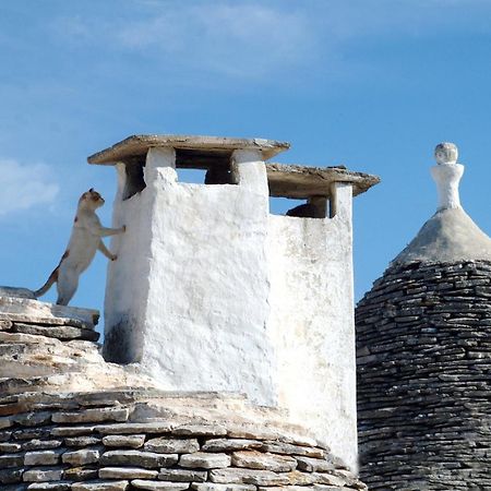 B&B Corso Trieste E Trento Alberobello Exterior photo